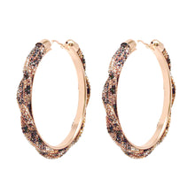 Load image into Gallery viewer, Leopard Twisted Stone Hoops
