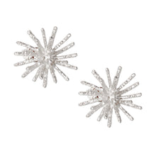 Load image into Gallery viewer, Clip On Silver Medium Spike Earrings for Women
