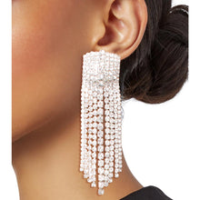 Load image into Gallery viewer, Silver Rectangle Iced Fringe Earrings
